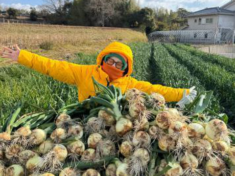 【予約】生産農家直送 淡路島産ブランド新玉ねぎ 『にじたま』超極早生品種 9kgダンボール入り（ご家庭用・30個前後） 使いやすいM・L・2L混在！≪水分量No1!!≫◎特別栽培　2月末頃から順次発送