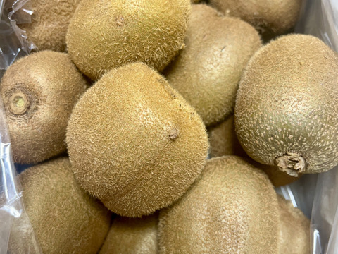 ビッくりキウイふる～つ（偏平Ｌ）2K箱【品種ヘイワード】）