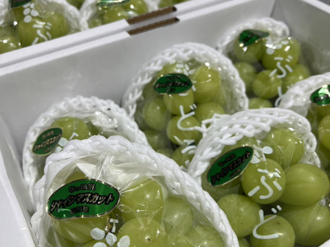 パリパリ食感★大粒シャインマスカット★ご家庭用（３５０ｇ×２パック入り）７００ｇ