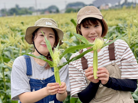 【残りわずか】(20本)農業女子が作る超新鮮ヤングコーン♪