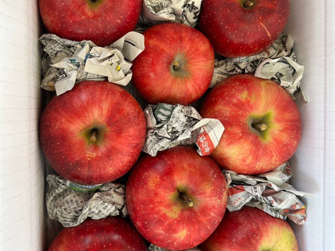 まるせい果樹園の紅の夢　訳あり　加工用　自家用　家庭用　　3kg　(6～15玉入り)　玉数指定不可　ｒｙ1