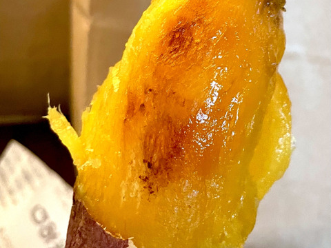 富山県南砺市立野原産赤土べにはるか