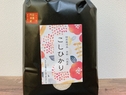 新米！令和5年産　京都丹波産特別栽培　コシヒカリ一等米25kg