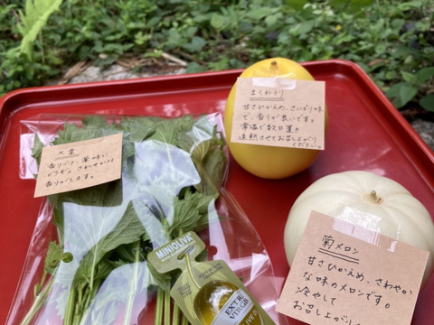 【秋ギフト】野菜ブーケかごタイプ【カラフルなミニ野菜】【お誕生日】【開店祝い】【周年祝い】【お供え】