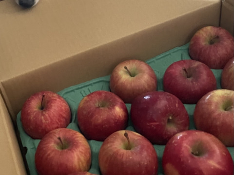 青森県産りんご！　大人気りんご！　糖度13%以上保証　限定販売　100箱　家庭用サンふじ約5キロ　1月～ご発送