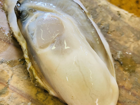 【BBQに！】北海道産海峡牡蠣25個