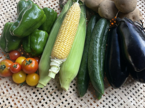 【期間限定】標高1000ｍで旨味！とうもろこし5本とおまかせ野菜セット