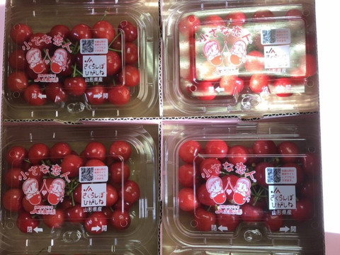 🍒⚠️期間限定【祝✨新規出品特別価格】🍒【訳あり】【佐藤錦】【M・L混合】【1kg】山形県東根産　※色のばらつき、双子、傷、多少のうるみ等有り