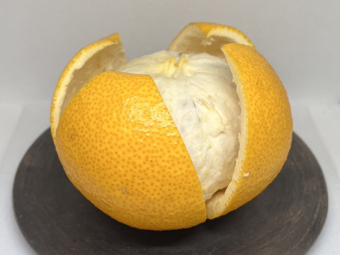 シャキプリの甘酸っぱい和歌山の八朔 2kg