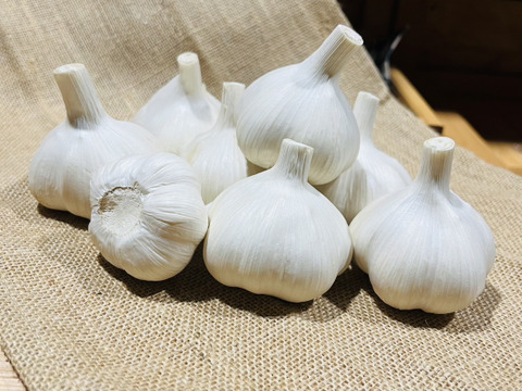 安いそれに目立つ 予約受付】青森県産 にんにく Mサイズ以上 1kg【令和7年度産 野菜