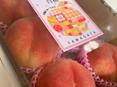 硬め食感！山形県産さくら白桃【2キロ大玉6個入】