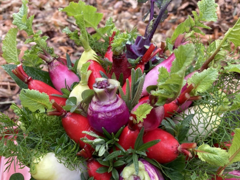 【ギフト】野菜ブーケかごタイプ【カラフルなミニ野菜】【お誕生日】【開店祝い】【周年祝い】【お供え】