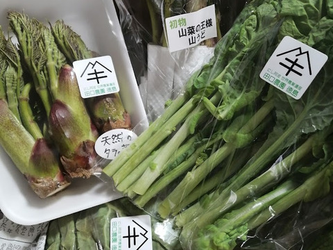 定期便設定（お届け日は２～３日前後します）【たっぷりいろいろ　２０００円セット】農家人が選ぶ旬野菜のおまかせセットです。季節ごとの旬の世界農業遺産ブランド野菜を厳選してお届け致します。