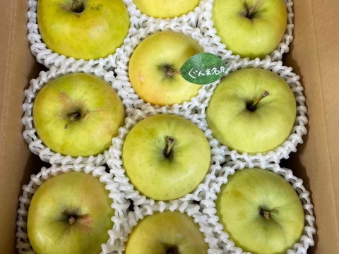 【冬ギフト】🍎『希少！』ぐんま名月🍎約3キロ8〜11玉(家庭用)ID177902