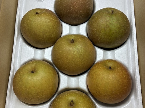 残りわずか(レビュー希望価格！)鳥取県産「甘太(かんた)」2.5キロ(6-9玉)、出荷開始！たにがみ農園☆果汁あふれる梨！新しい品種で希少な為なくなり次第終了！谷上農園、鳥取県鳥取市佐治町産