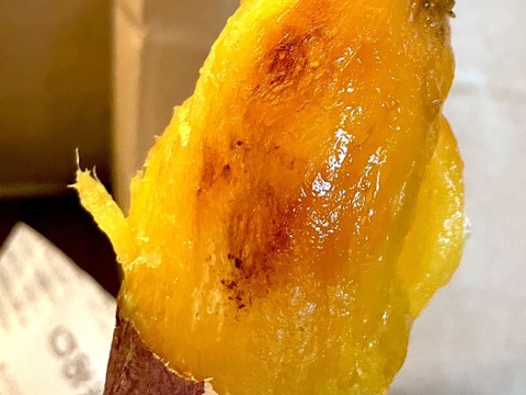 焼き芋屋が育てた
富山県立野原産赤土べにはるか10kg