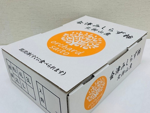 会津みしらず柿（種なし）　約1.5kg 3Lサイズ(5〜6玉入)