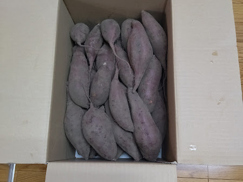 訳あり・形良し・土付き🍠シルクスウィート・内容100g〜750g大小混合
⭐︎農薬不使用