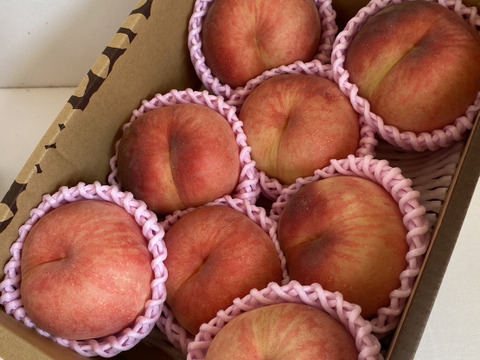 硬め食感！山形県産さくら白桃【2キロ8〜9個入】