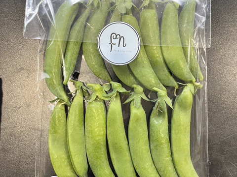 【お試し用】今が旬！初春が薫るスナップエンドウ　長崎県産　おのんすなっぷえんどう　100g