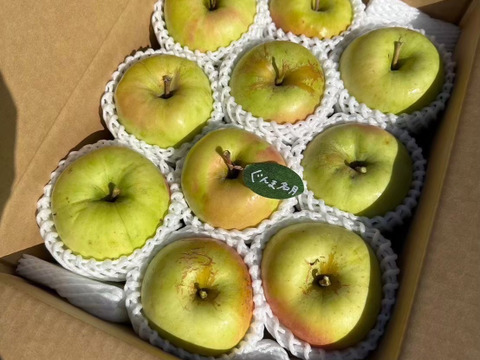 【冬ギフト】🍎『希少！』ぐんま名月🍎約3キロ8〜11玉(家庭用)ID177902