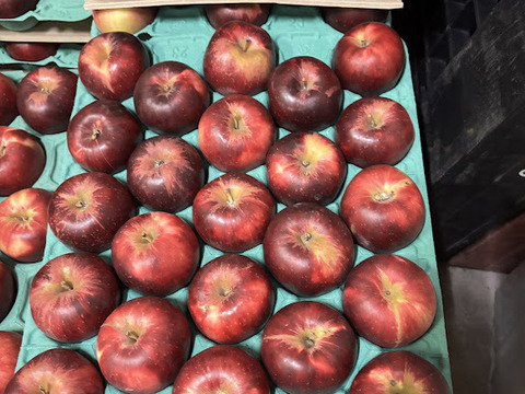 ～🍎陽だまりりんご🍎～お菓子作りに最適です！『太陽の恵みいっぱい紅玉』【規格外】　１６個から２５個入り