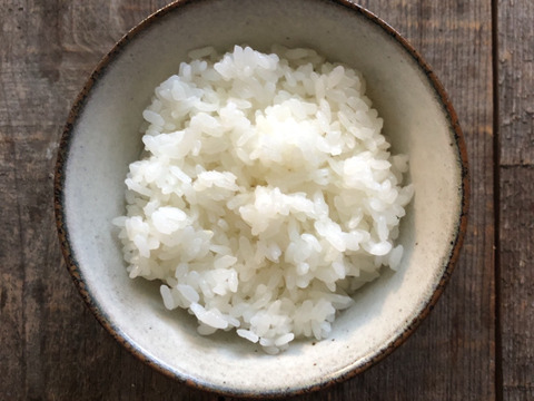 【リオレのレシピ付き】【新米/5kg】ふっくら、もっちり、甘い! 令和3年産 那須の麓のコシヒカリ 白米