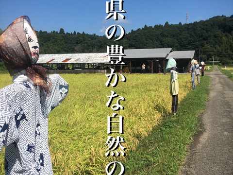 ✳︎新米✳︎令和7年度産★季節の野菜プレゼント付★【白米3キロ】クラフト袋入　　ふっくら・もちもち✴︎冷めても美味しい〜　【深田のお米】千葉県産コシヒカリ