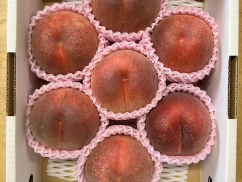 希少品種が入るかも！【品種おまかせ🍑白桃】秀品2kg ※8~9月発送