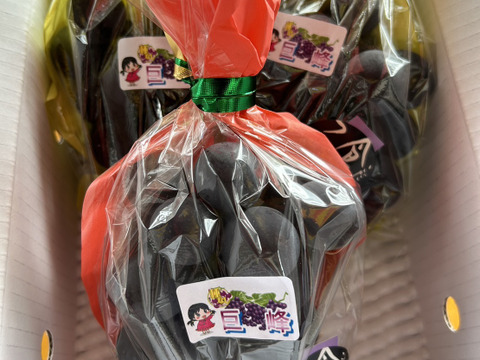 まるせい果樹園の種無し巨峰　1ｋ　2～4房　贈答用　自家用　家庭用