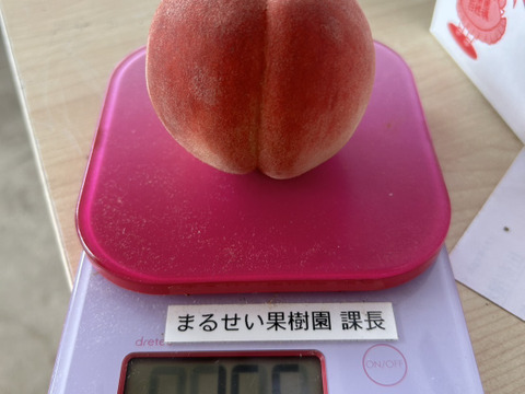 桃　暁星　小玉　ちびっ子　1.8kg自家用　(11～15玉入り) codama