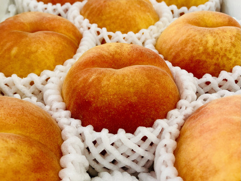 🍑レア桃🍑ワッサー（約2kg/8-11玉入り）夏ギフト・贈答用に