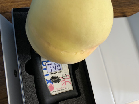 【進物用】ロイヤル♡7品種甘い岡山白桃♡約2kg箱5〜8個入り