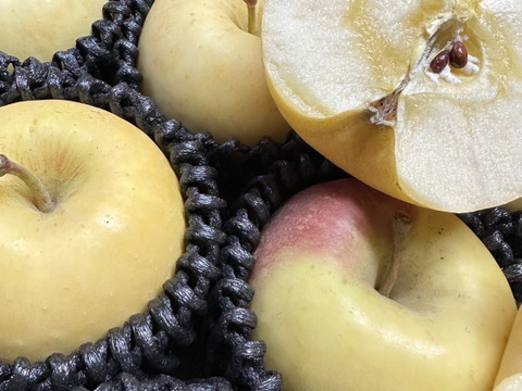 圧倒的存在感！超絶希少りんご「白ふじ」約3kg箱　8〜10玉