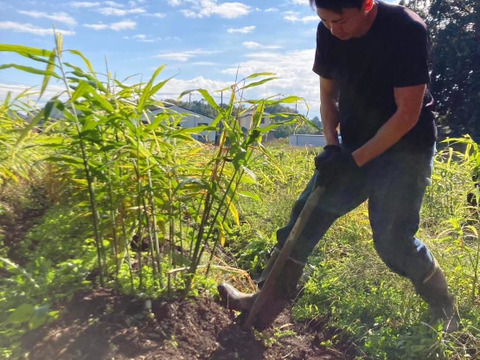 千葉県産　すりおろしたっぷり！本格ジンジャーシロップ　180ml