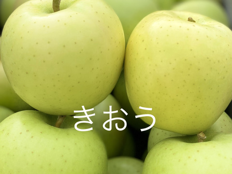 【7周年福袋】フレッシュな夏りんごの詰合せ＆りんごのセミドライセット！