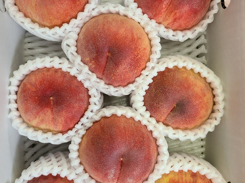 「まどか」当園第４番目の品種　特秀品　３ｋｇ(７～１２個位)　
すぐに出荷できませんよ