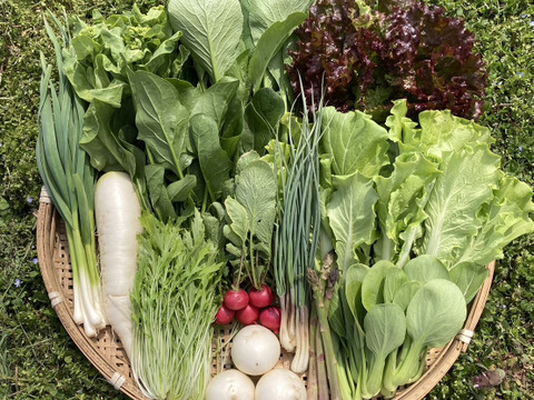 新鮮！旬の野菜セット【Sサイズ：約2.5〜3kg】【10品目】農薬・化学肥料不使用