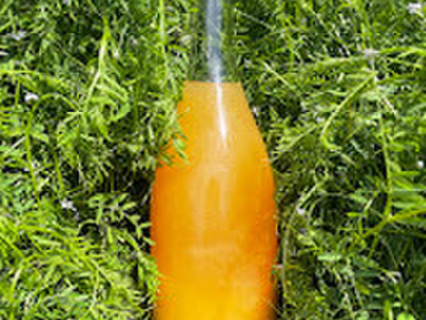 【超希少高級】丸ごとギュッと凝縮！濃厚な伊予柑ネクター“贈答・720ml”