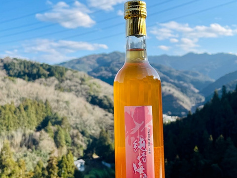 梅農家による梅酒3本セット（甘口）　500ml×3本　辛口梅酒　甘口梅酒　本格梅酒　すぐに出荷　【母の日ギフト】