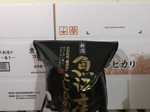 年新米 ふっくら旨い 魚沼産コシヒカリ 5kg 精米 新潟県産 食べチョク 農家 漁師の産直ネット通販 旬の食材を生産者直送