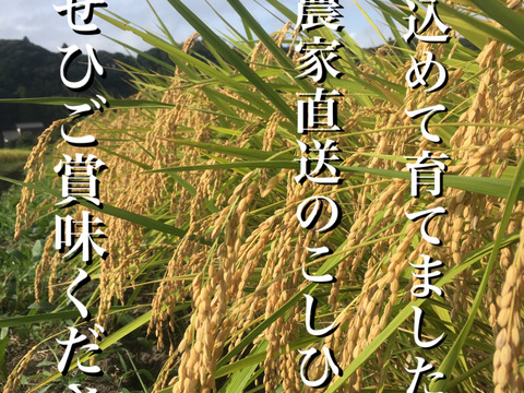 ✳︎新米✳︎令和7年度産★季節の野菜プレゼント付★【白米3キロ】クラフト袋入　　ふっくら・もちもち✴︎冷めても美味しい〜　【深田のお米】千葉県産コシヒカリ