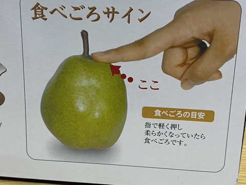 ラフランス　贈答品　山形県天童市産