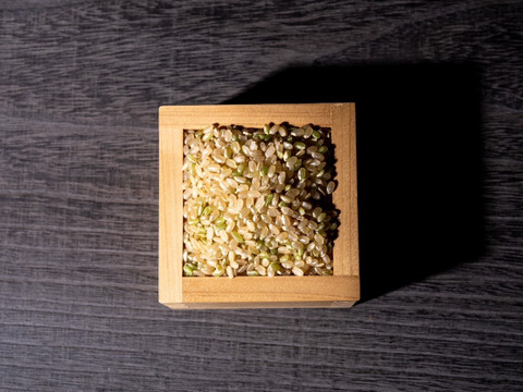 北海道産 特別栽培米(令和5年産) おぼろづき10kg(玄米)