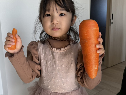 熊本県菊陽町の名産「人参」10kg