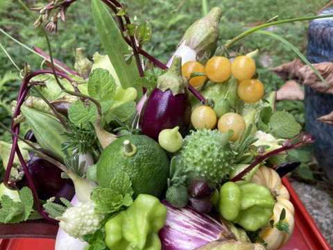 【秋ギフト】野菜ブーケかごタイプ【カラフルなミニ野菜】【お誕生日】【開店祝い】【周年祝い】【お供え】