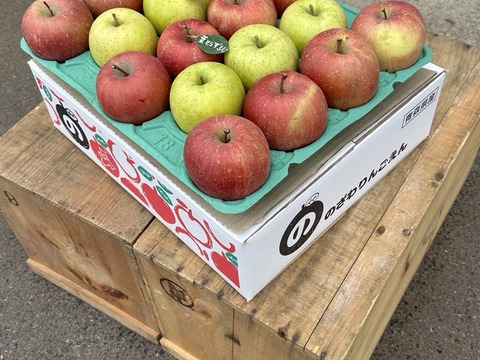 ★大人気★🍎葉とらずふじ🍏王林（家庭用１３～２０玉）約５キロ　ID124974