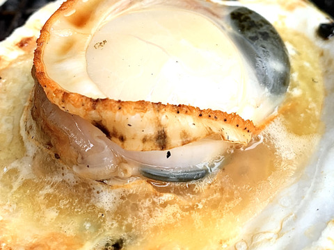 【訳あり！お買い得！】規格外品ホタテ２年貝〈2kg〉