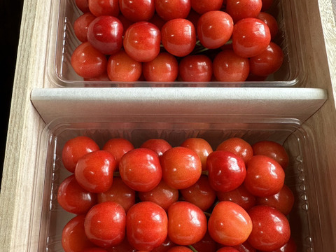 【 やまがた紅王:急遽の一粒 】【 5箱限定 】山形県天童産 さくらんぼ 木箱 贈答