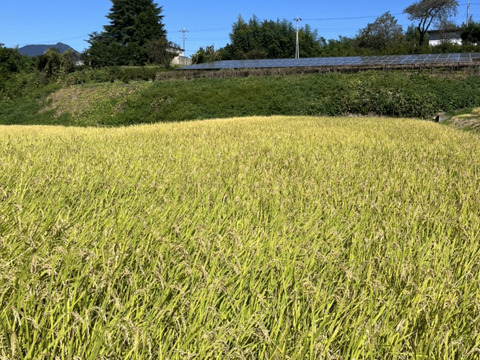 群馬県産！赤城高原の大自然の中で育った精米したての新米コシヒカリ(５kg)
